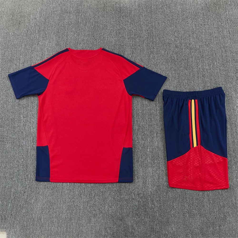2026 FIFA World Cup Spain Training clothes suit Short sleeve Fan version