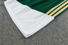 2026 Italy Training clothes suit Short sleeve Fan version