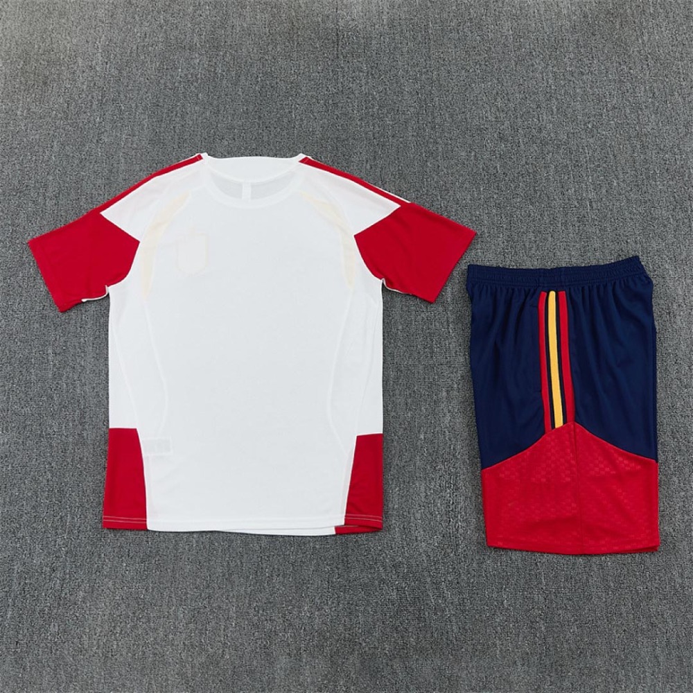 2026 FIFA World Cup Spain Training clothes suit Short sleeve Fan version