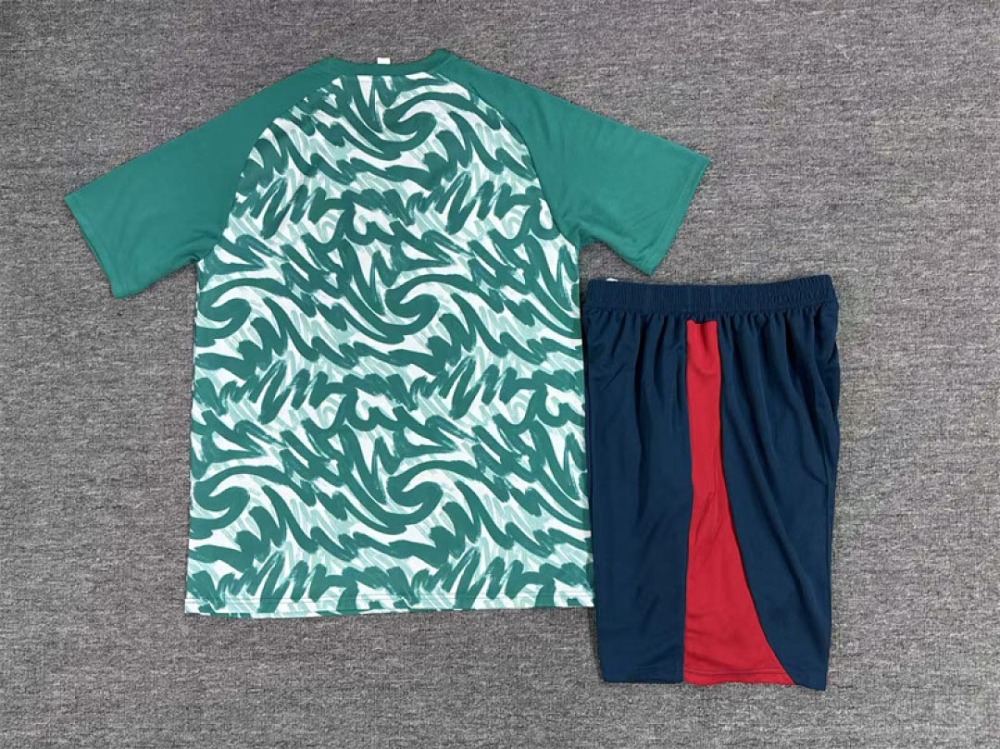 2026 FIFA World Cup Portugal Training clothes suit Short sleeve Fan version