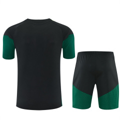 2026 FIFA World Cup Mexico Training clothes suit Short sleeve Fan version