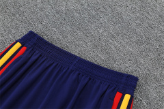 2026 FIFA World Cup Spain Half zip training suit set