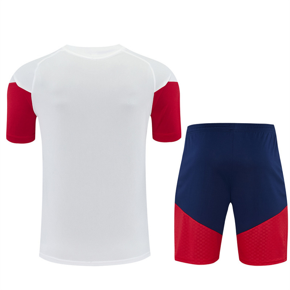 2026 FIFA World Cup Spain Training clothes suit Short sleeve Fan version