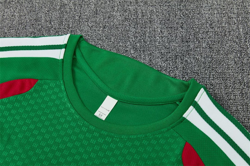 2026 FIFA World Cup Algeria Training clothes suit Short sleeve Fan version