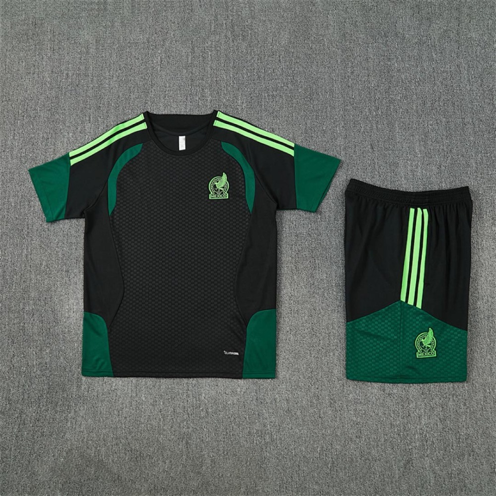 2026 FIFA World Cup Mexico Training clothes suit Short sleeve Fan version