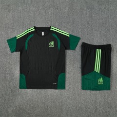 2026 FIFA World Cup Mexico Training clothes suit Short sleeve Fan version