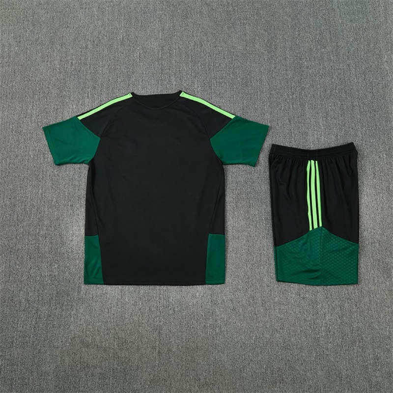 2026 FIFA World Cup Mexico Training clothes suit Short sleeve Fan version