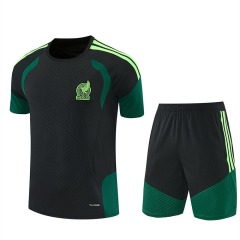 2026 FIFA World Cup Mexico Training clothes suit Short sleeve Fan version