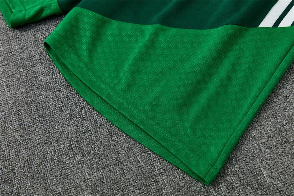 2026 FIFA World Cup Algeria Training clothes suit Short sleeve Fan version