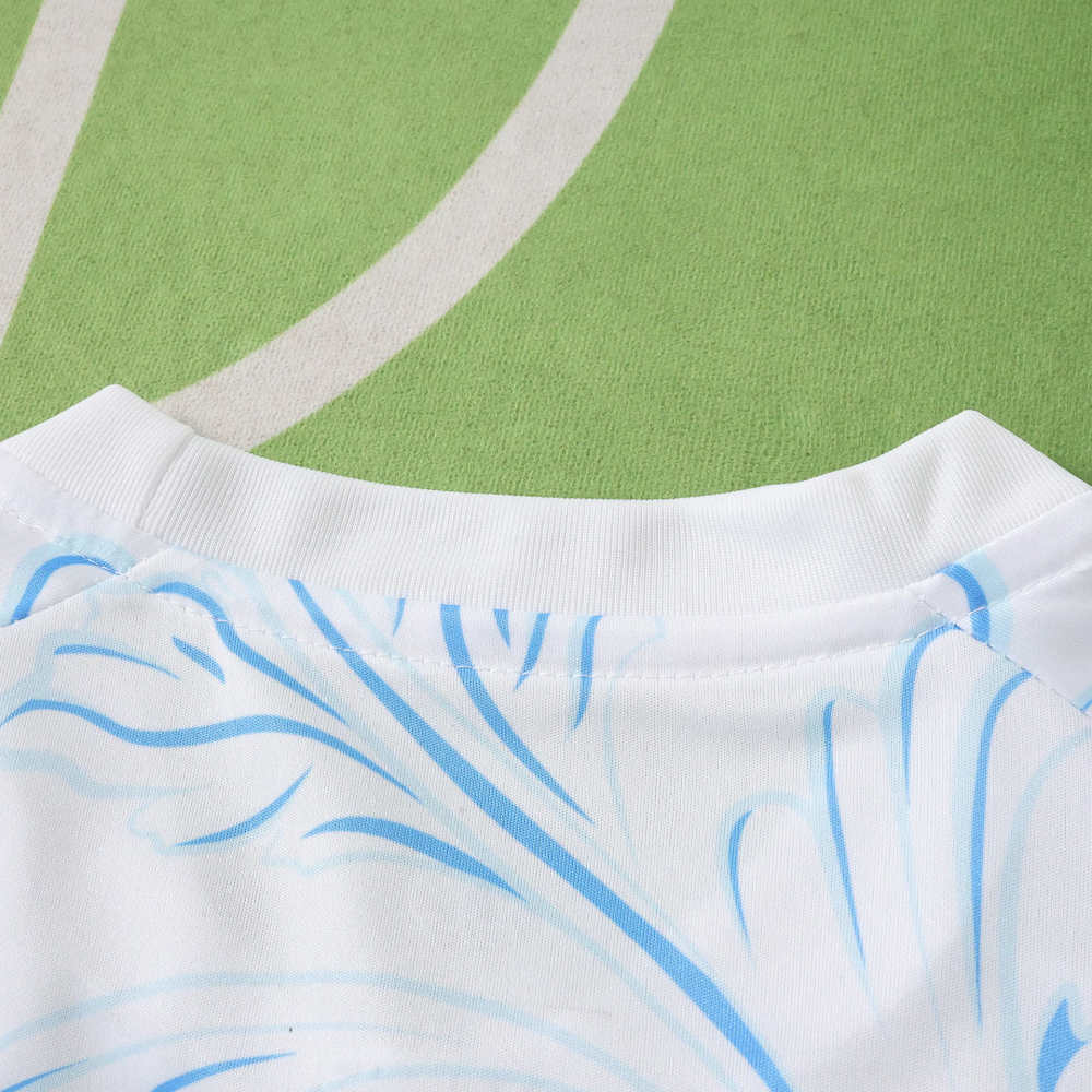 2026 FIFA World Cup Argentina Training shirt Fan version