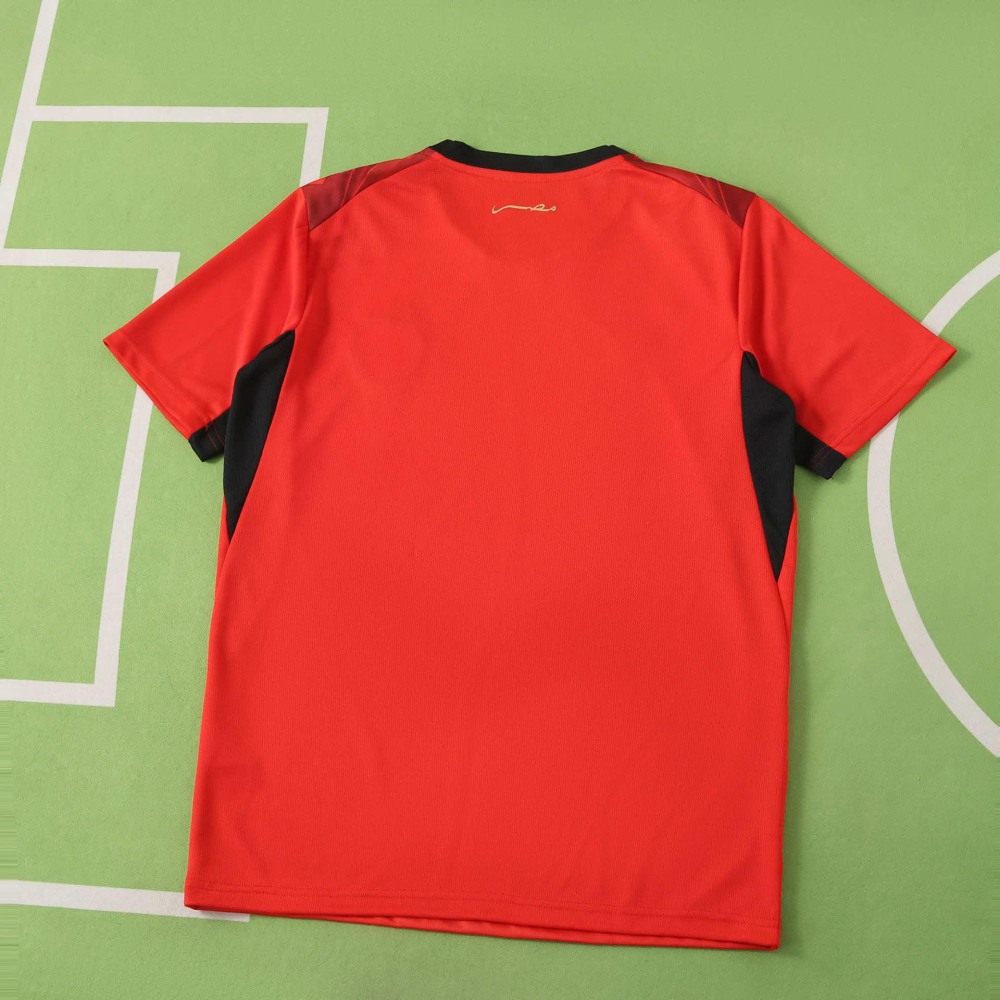 2026 FIFA World Cup Egypt home Fan version