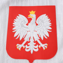 2026 Poland home Player version