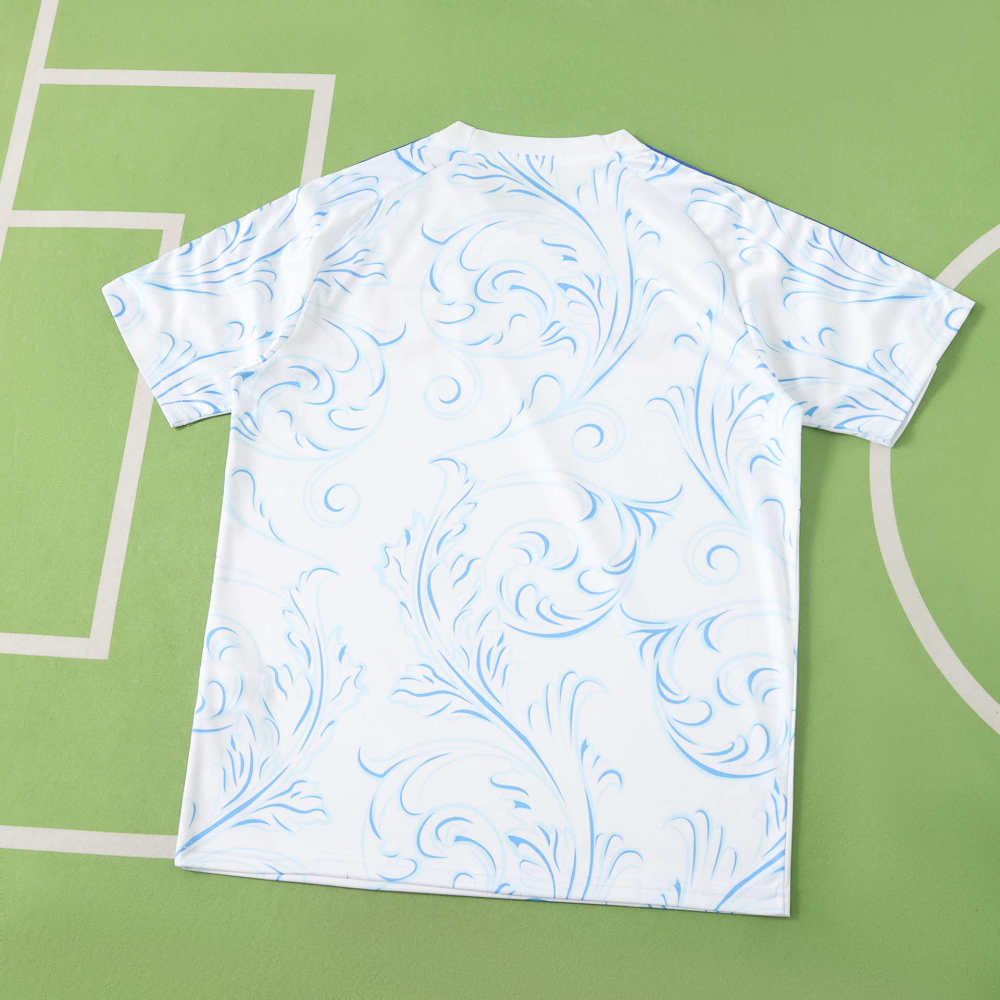 2026 FIFA World Cup Argentina Training shirt Fan version