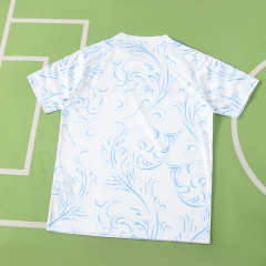 2026 FIFA World Cup Argentina Training shirt Fan version