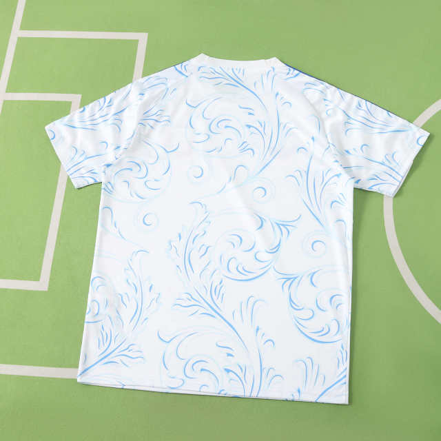 2026 FIFA World Cup Argentina Training shirt Fan version