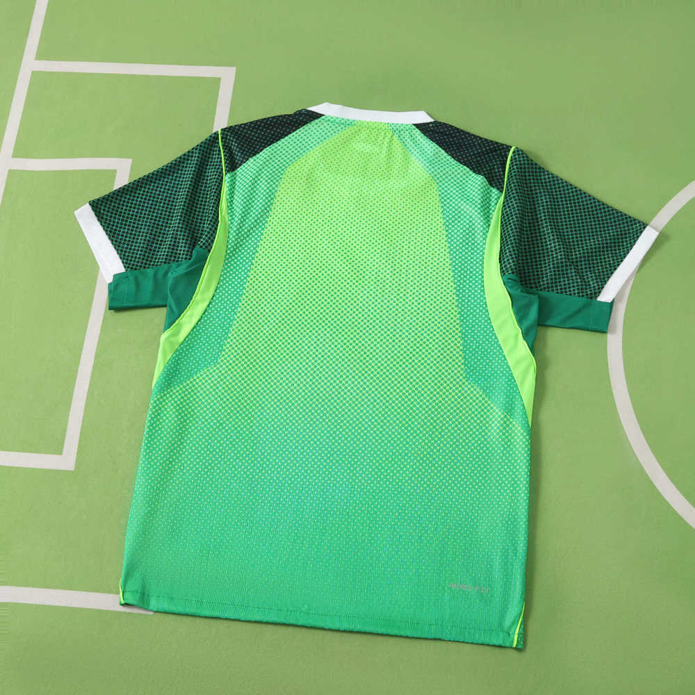 2026 Nigeria home Player version