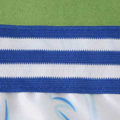 2026 FIFA World Cup Argentina Training shirt Fan version