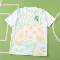 2026 FIFA World Cup Ivory Coast away Fan version
