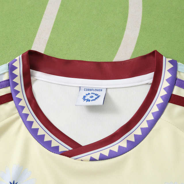 2026 FIFA World Cup Germany Concept version Fan version