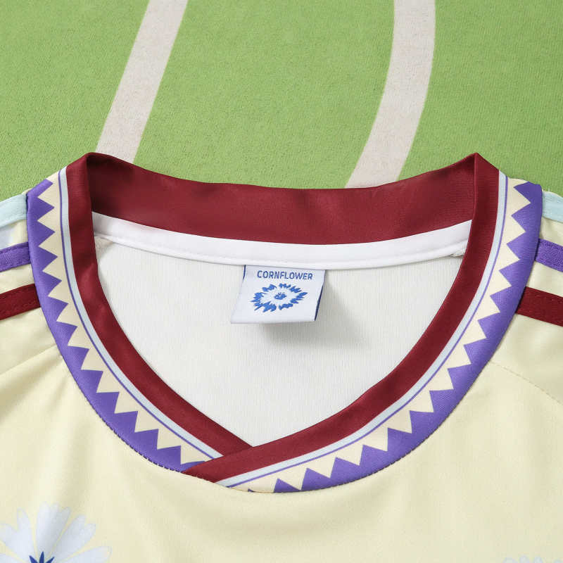 2026 FIFA World Cup Germany Concept version Fan version