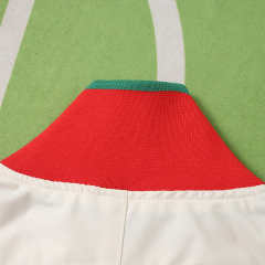 2026 FIFA World Cup Portugal windbreaker