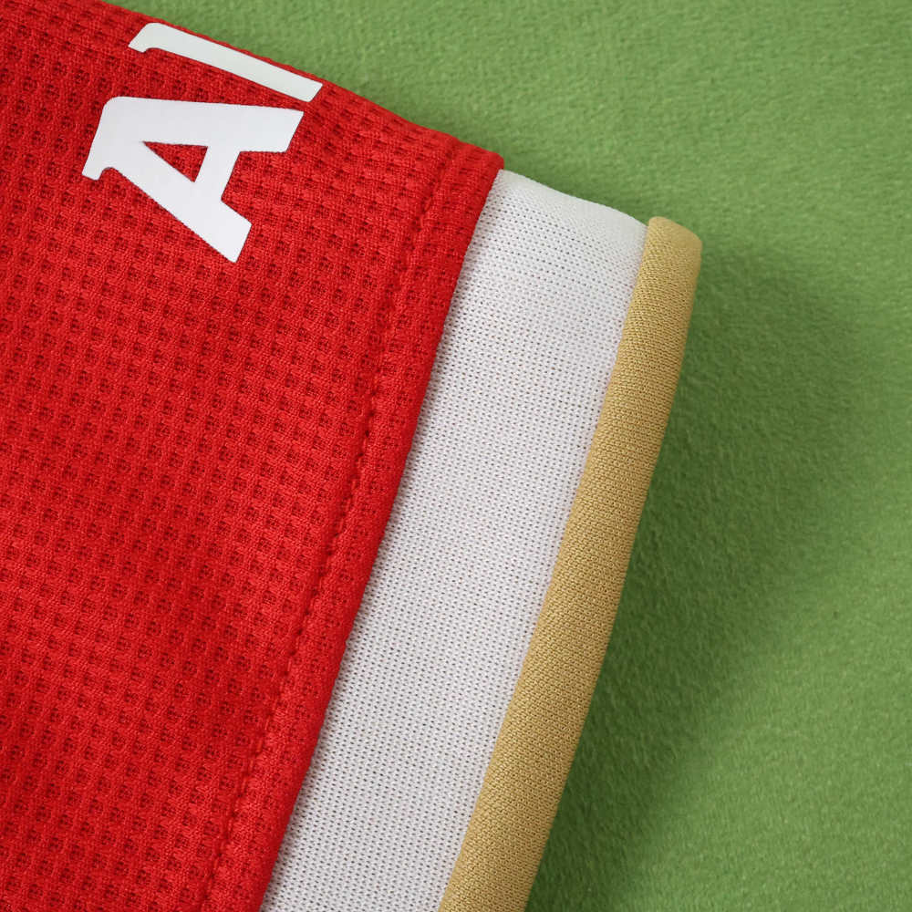 2627 season Fußball-Club Bayern München home Fan version