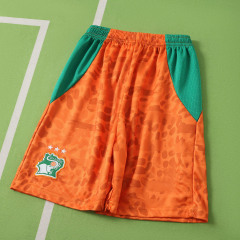 2026 FIFA World Cup Ivory Coast home Kids kit