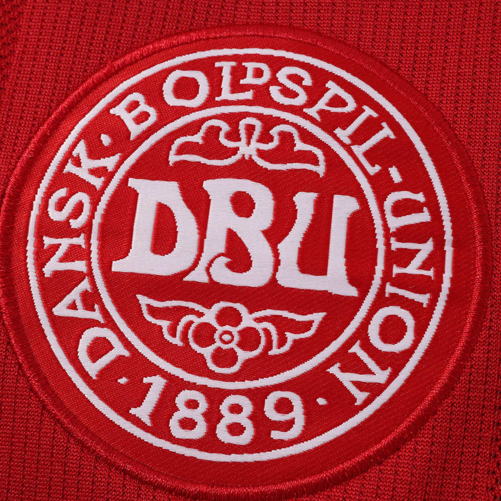 2026 Denmark home Fan version
