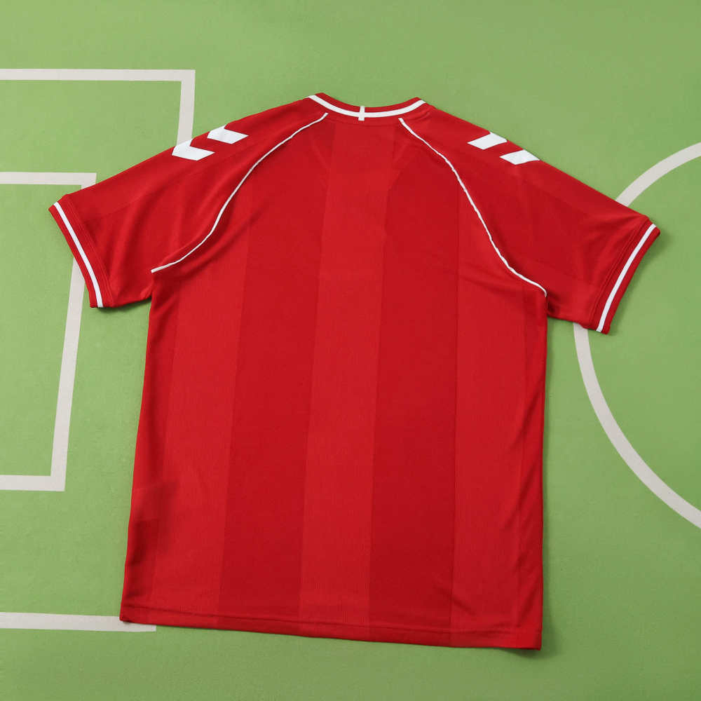 2026 Denmark home Fan version