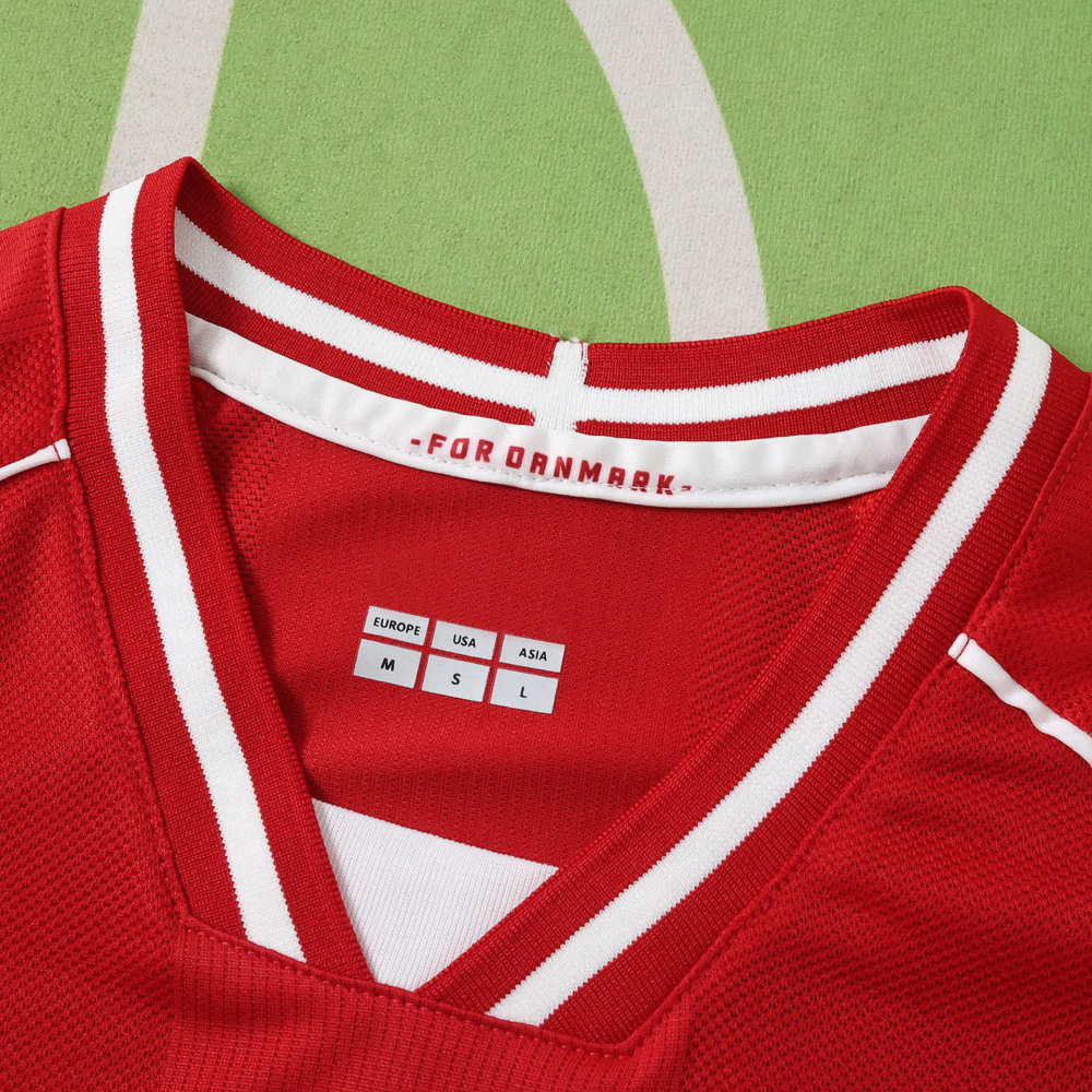 2026 Denmark home Fan version