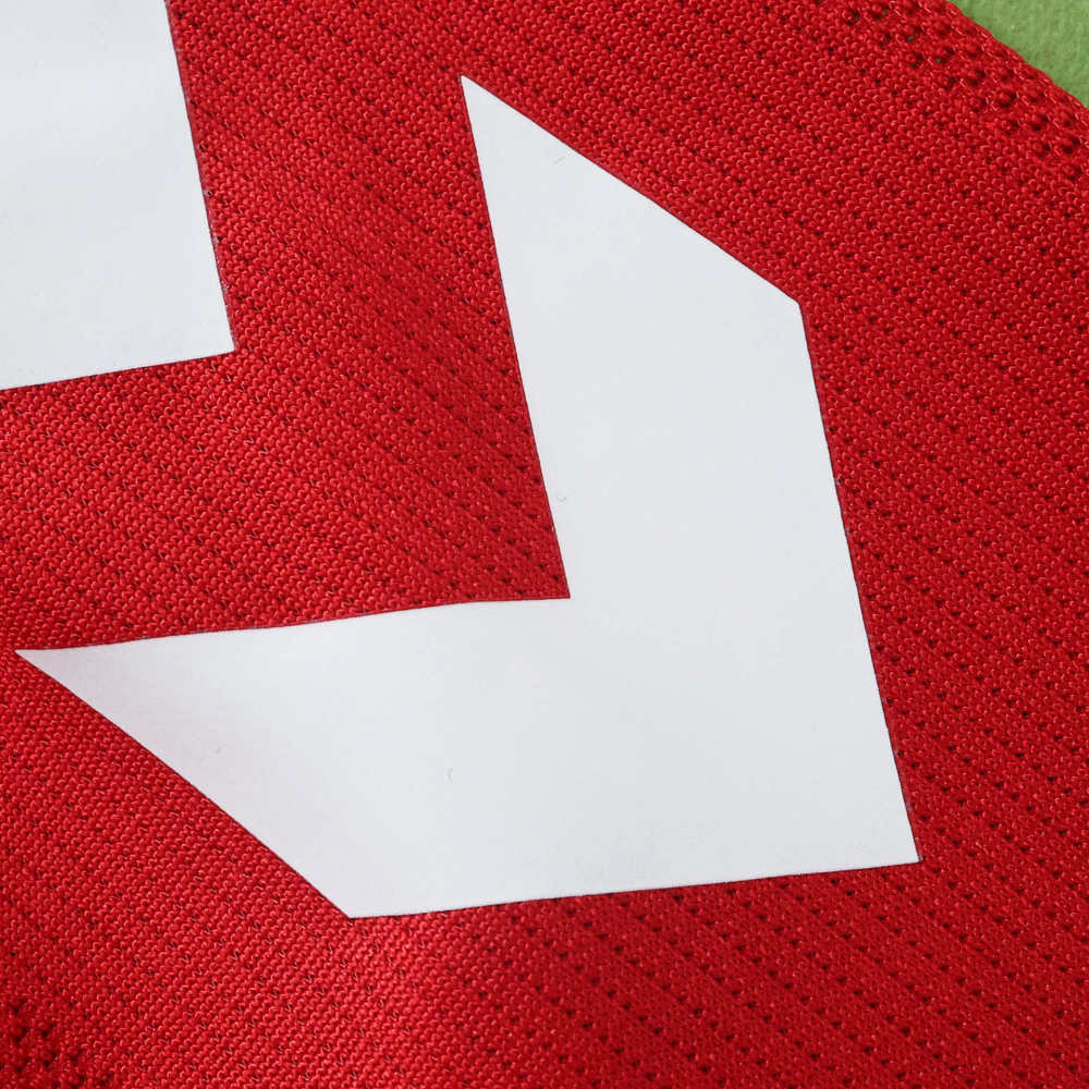 2026 Denmark home Fan version