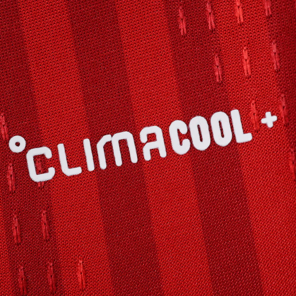 2627 season Fußball-Club Bayern München home Player version