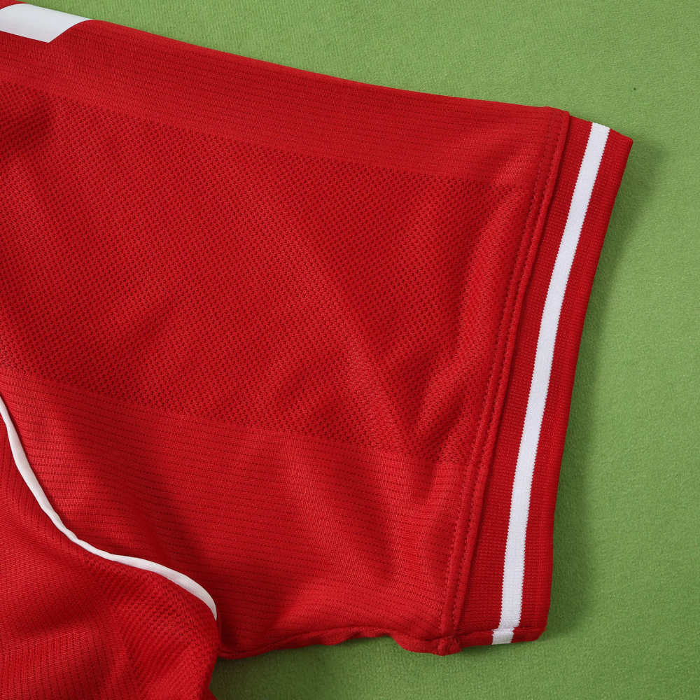 2026 Denmark home Fan version