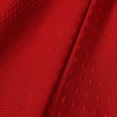 2627 season Manchester United F.C. home Player version