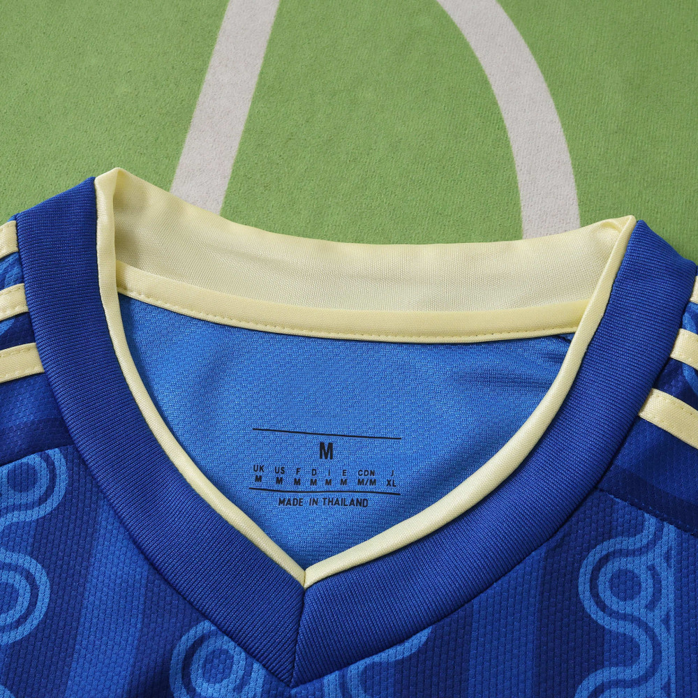 2026 FIFA World Cup Sweden away  Fan version