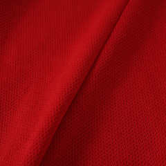 2627 season Manchester United F.C. home Fan version