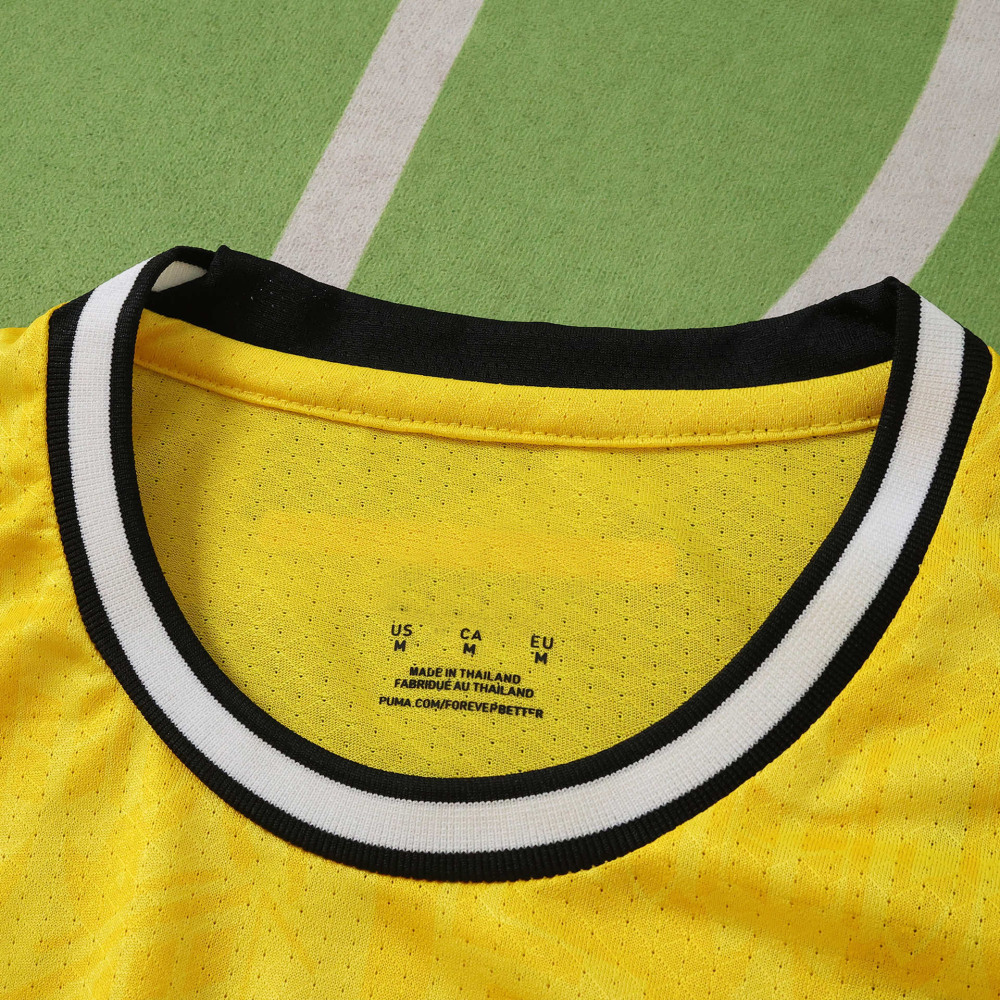 2627 season Borussia Dortmund home  Player version