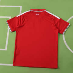 2627 season Manchester United F.C. home Fan version