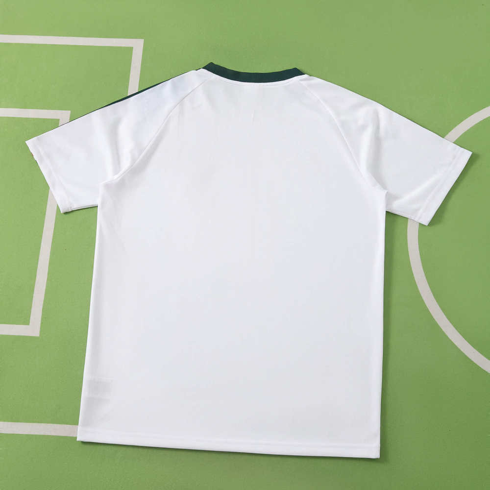 2026 FIFA World Cup Mexico Training shirt Fan version