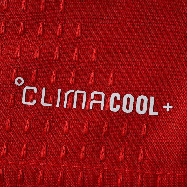 2627 season Arsenal F.C. home Player version
