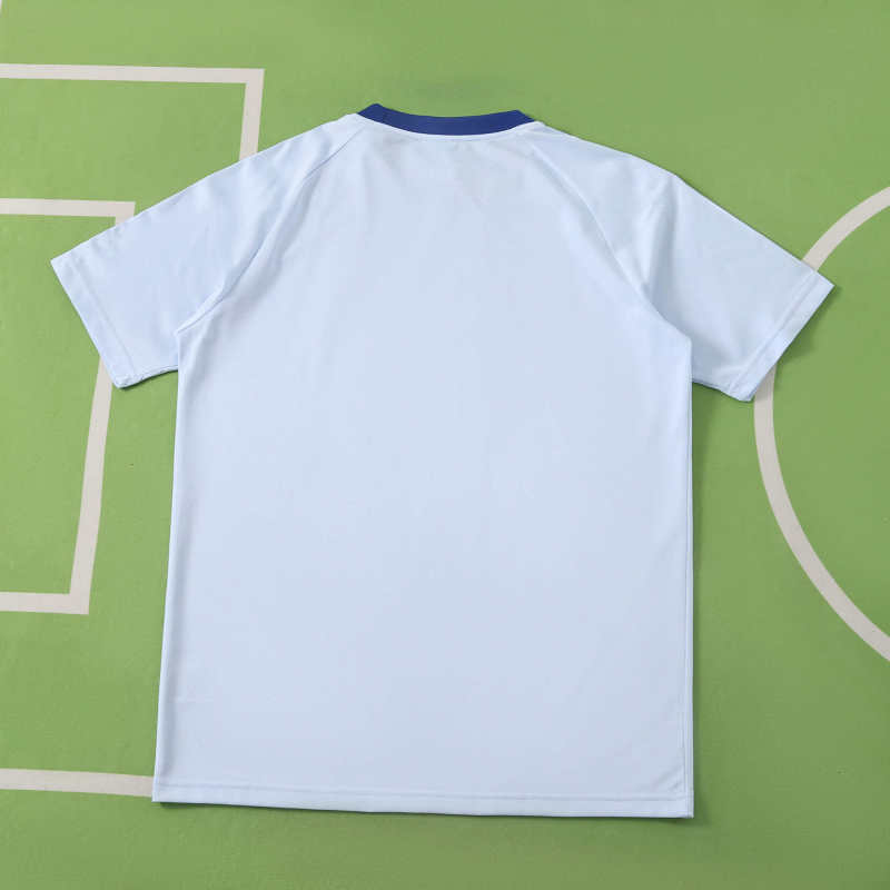 2026 Italy Training shirt Fan version