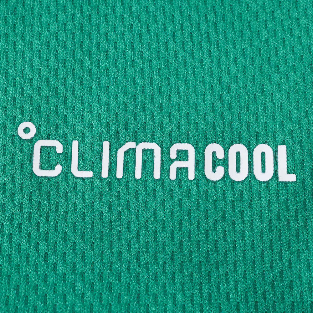 2627 season The Celtic Football Club home Fan version