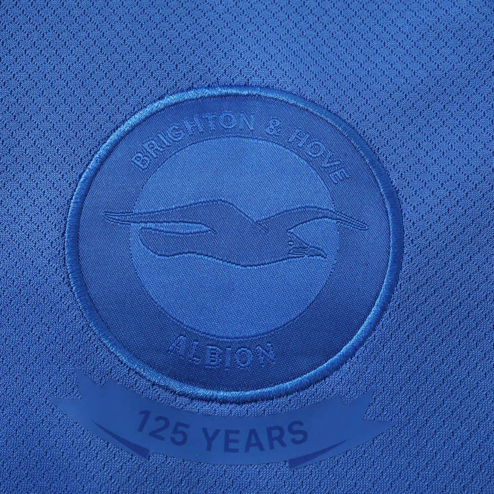 Brighton & Hove Albion F.C. 120th anniversary Fan version
