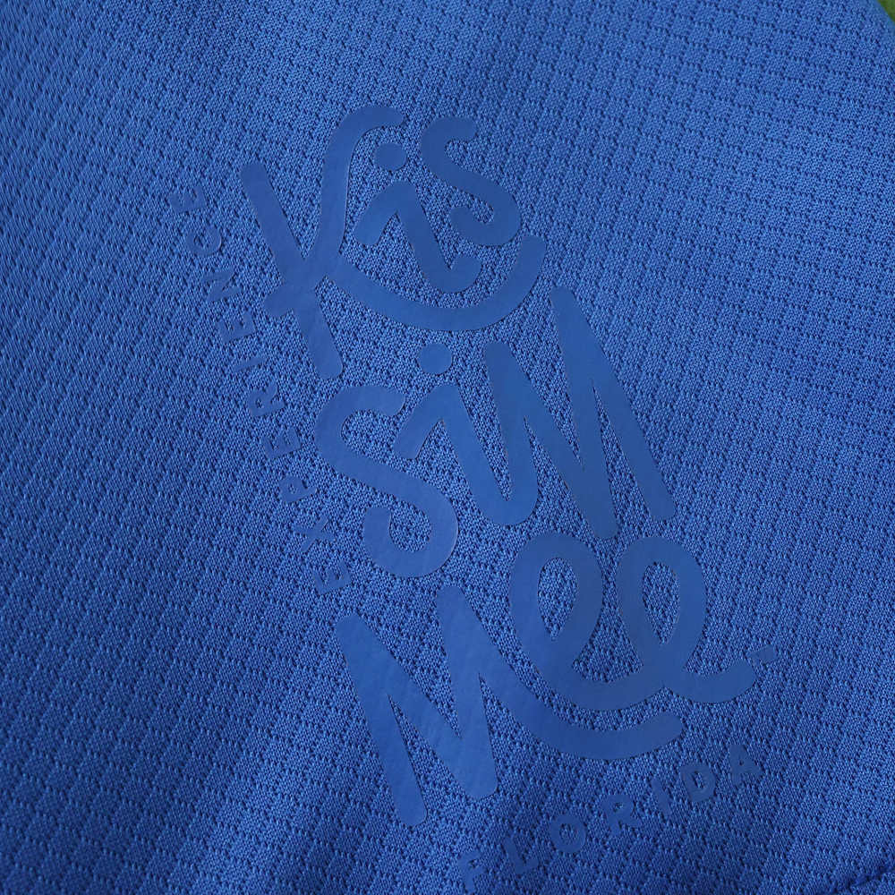 Brighton & Hove Albion F.C. 120th anniversary Fan version