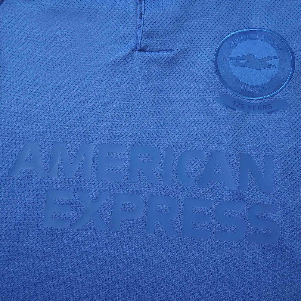 Brighton & Hove Albion F.C. 120th anniversary Fan version