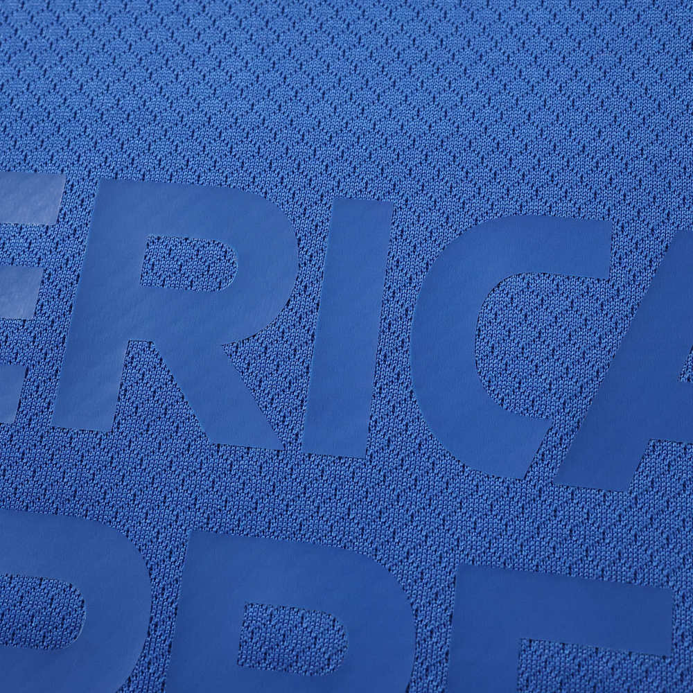 Brighton & Hove Albion F.C. 120th anniversary Fan version