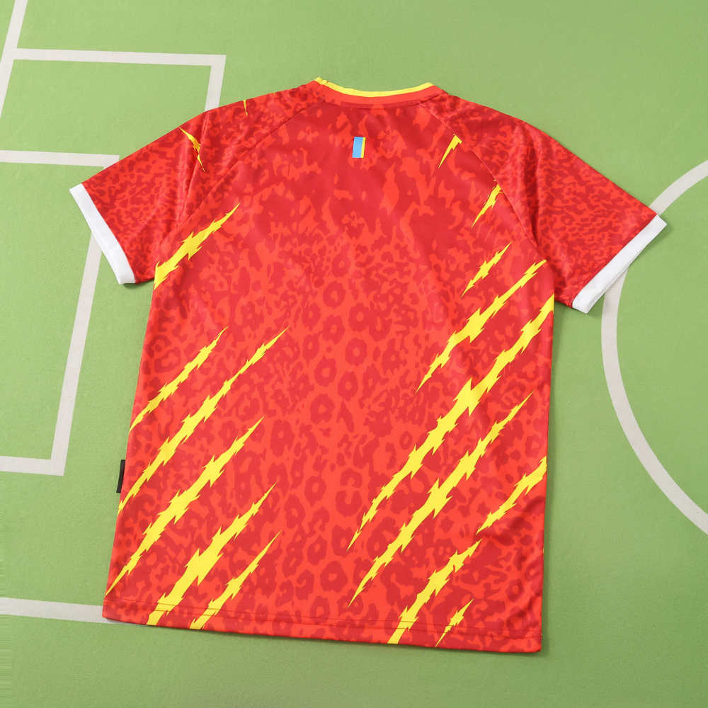 2026 FIFA World Cup Congo Third Fan version