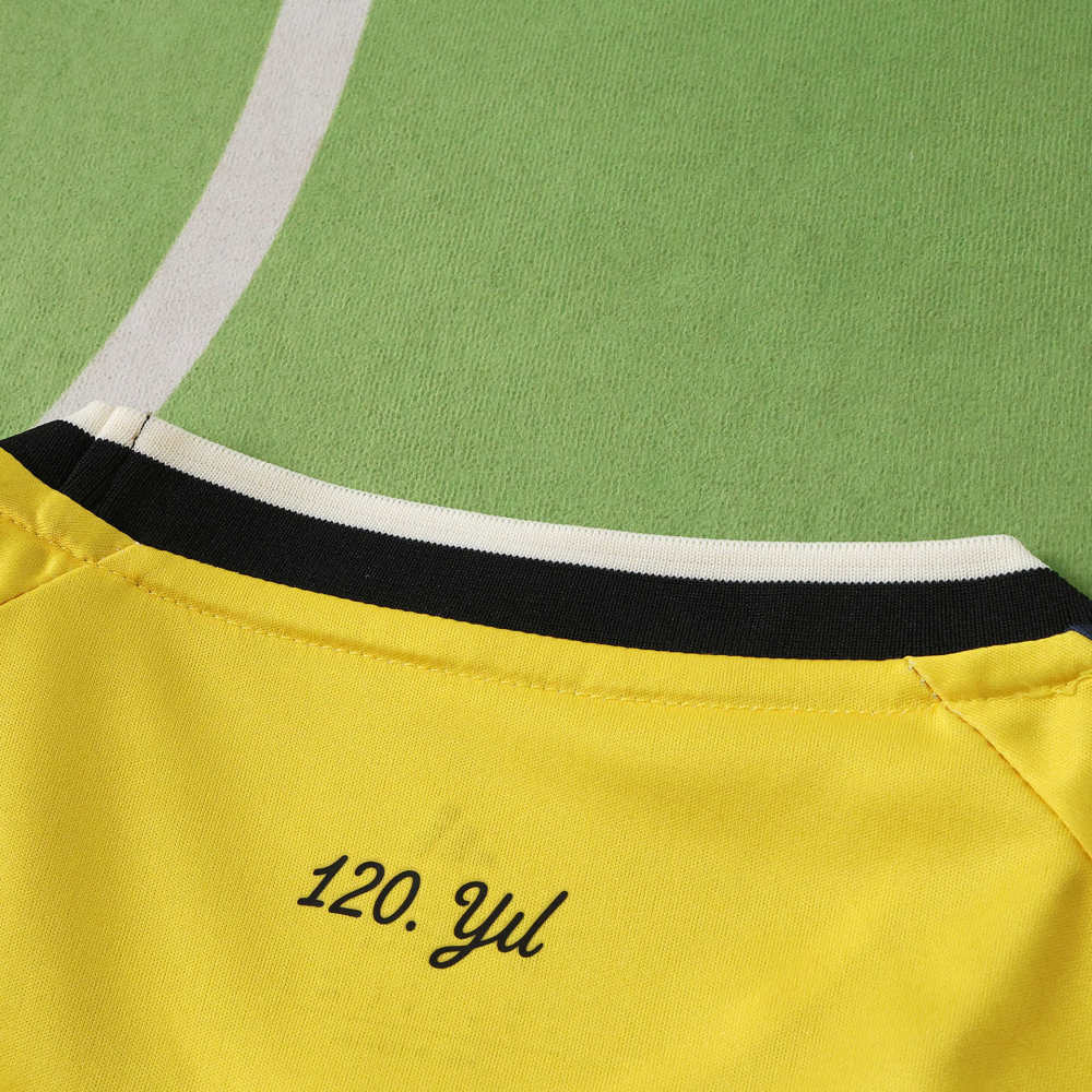 2627 season Fenerbahçe Spor Kulübü home Fan version