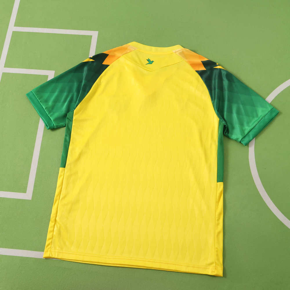 2627 season FC Nantes home Fan version