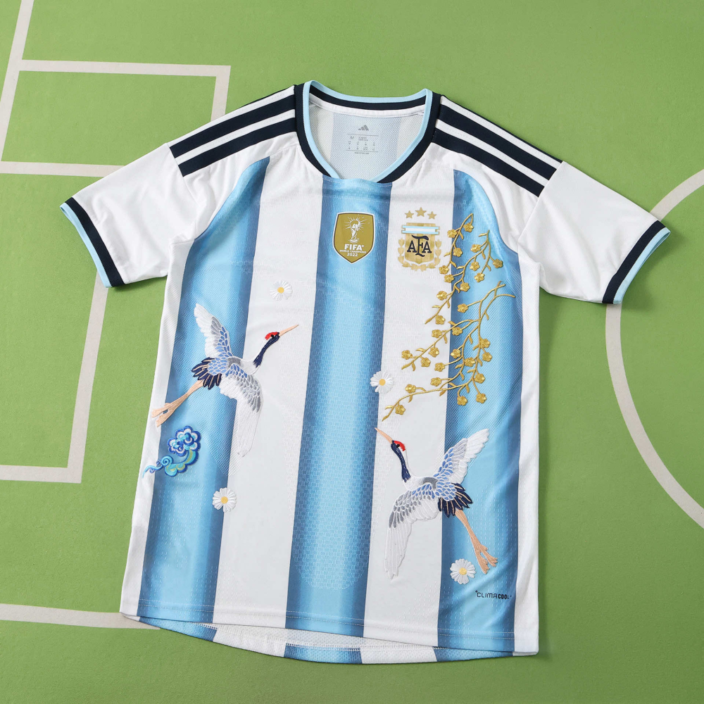 2026 FIFA World Cup Argentina home Embroidery Player version